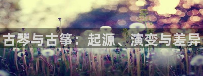 凯发旗舰客户端