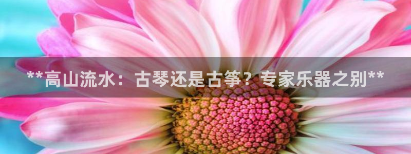 凯发国际平台官网