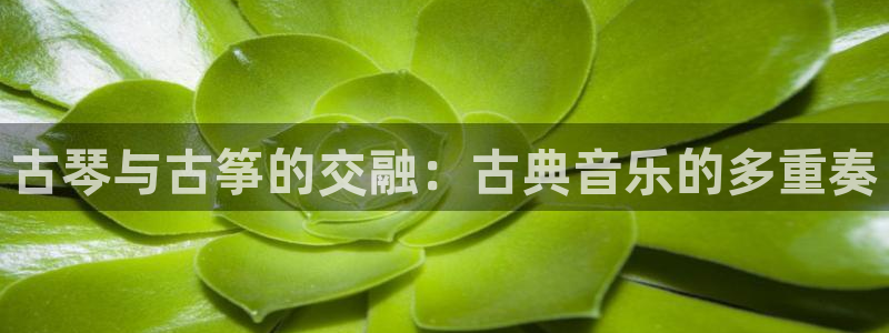 凯发线上官方网站下载网址