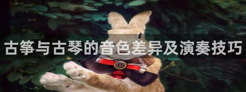 凯发网娱乐官网国际