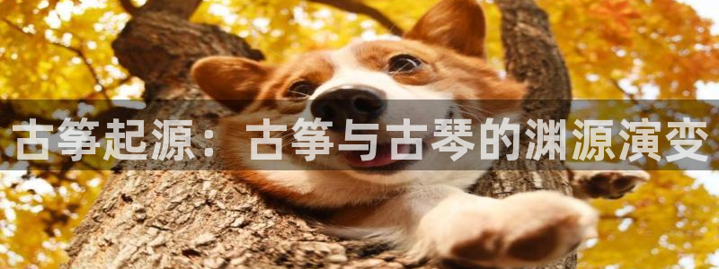 k8凯发官方找就送38