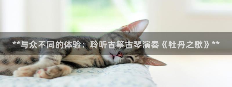 凯发k8娱乐平台网址