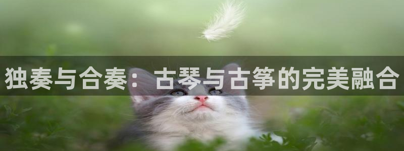 凯发手机官网：独奏与合奏：古琴与古筝的完美融合