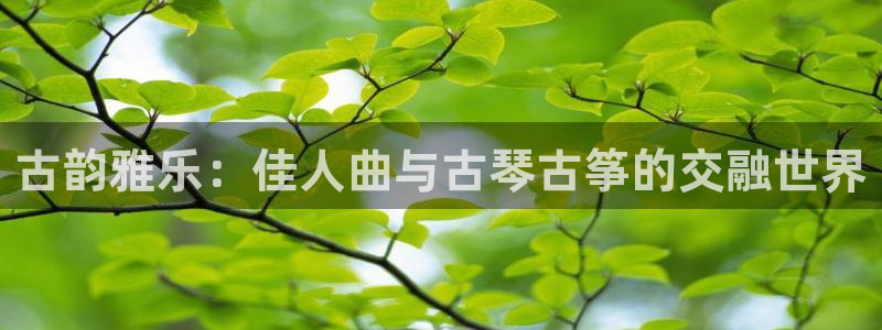 凯发k8555|手机版