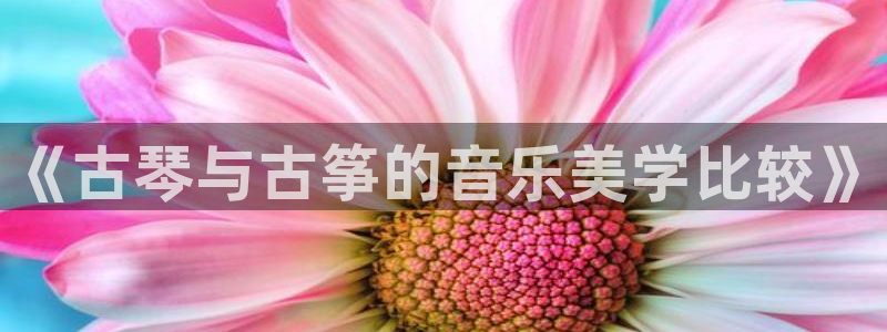 凯发k8国际真人版可靠送38元：《古琴与古筝的音乐美学比较》