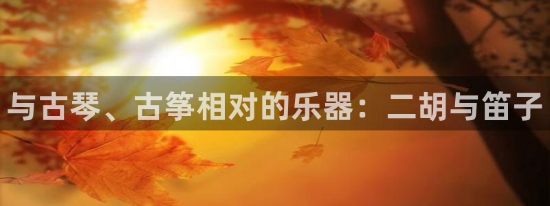 凯发k8官网do选来就送38：与古琴、古筝相对的乐器：二胡与