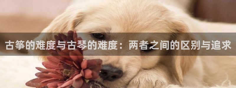 凯发平台敌7O777：古筝的难度与古琴的难度：两者之间的区别