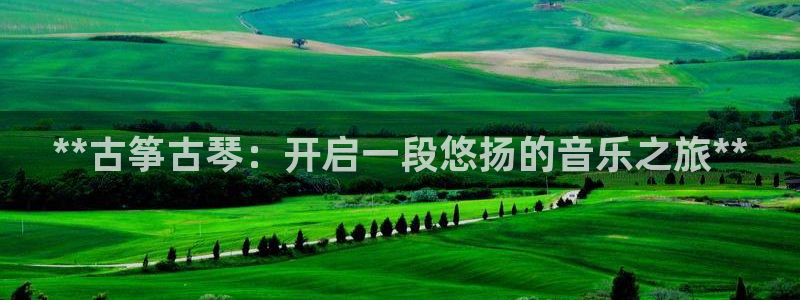 凯发线上app苹果版下载：**古筝古琴：开启一段悠扬的音乐之