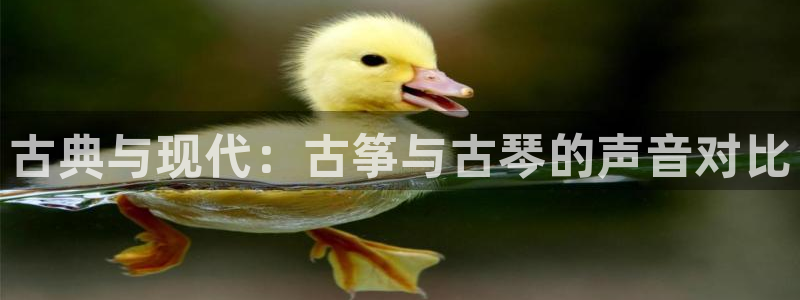 凯发k8是不是真的可靠：古典与现代：古筝与古琴的声音对比