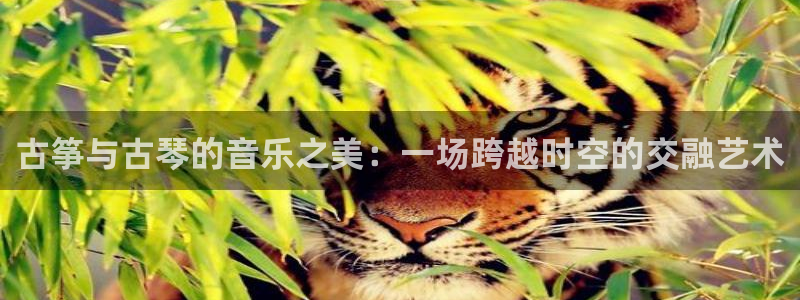 凯发k8娱乐是什么平台：古筝与古琴的音乐之美：一场跨越时空的