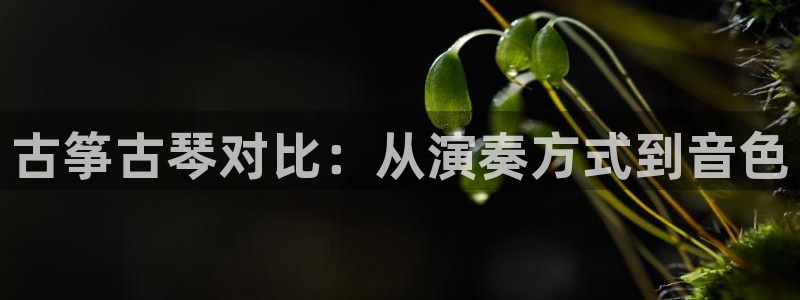 凯发国际平台：古筝古琴对比：从演奏方式到音色