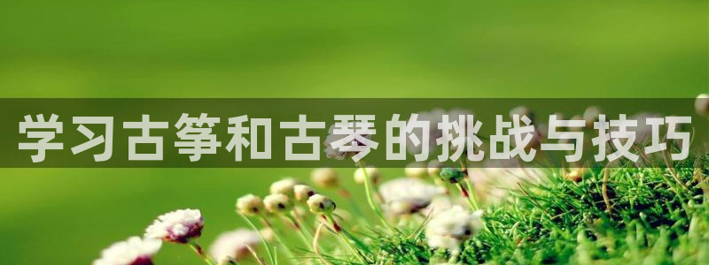 k8凯发官方找就送38：学习古筝和古琴的挑战与技巧