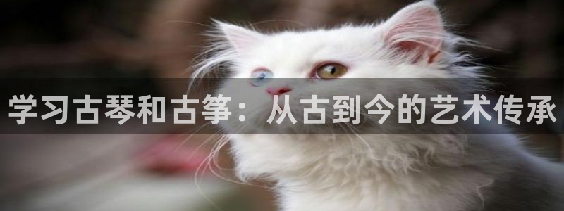 k8凯发是做什么的