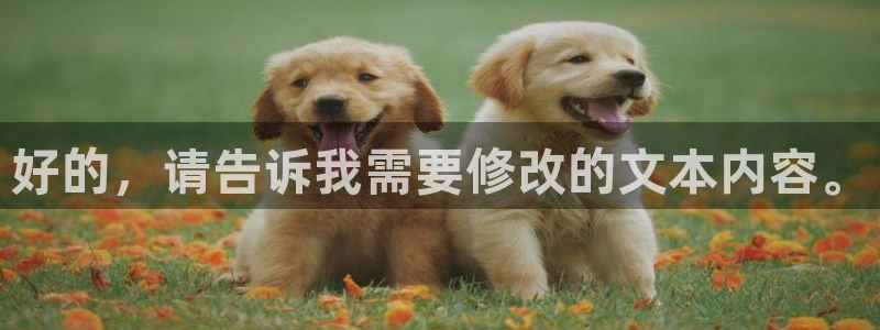 凯发k8国际真人娱乐手机app