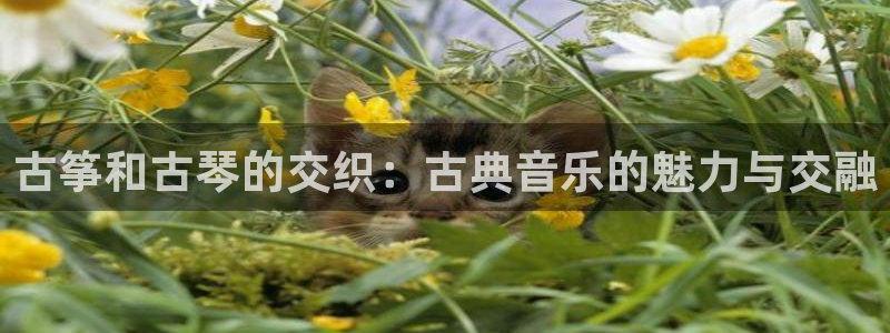 凯发在线平台官方网站