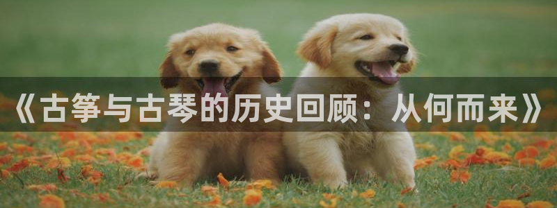 凯发国际怎么赚钱