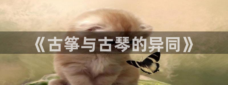 ks8凯发官方网站