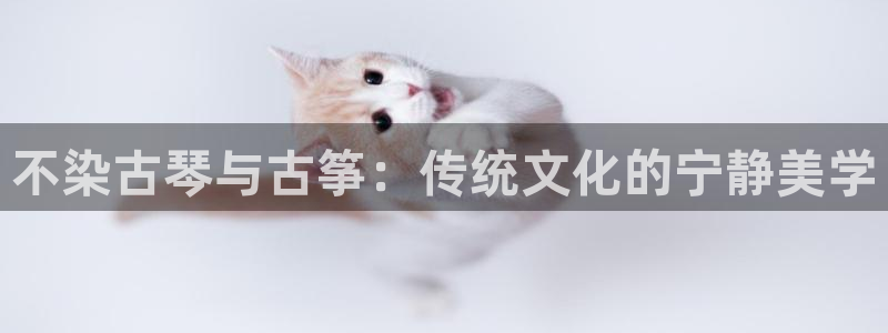 凯发app是干嘛的