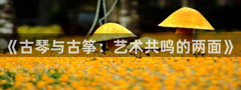 凯发k8娱乐平台下载