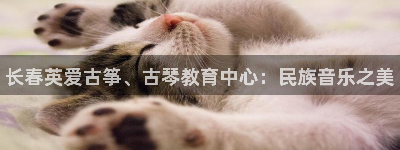 凯发k8国际下载