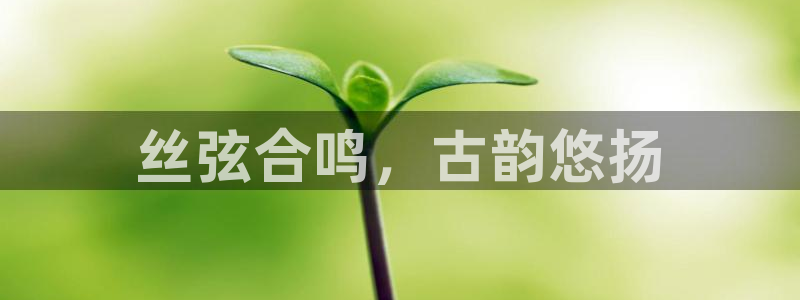 凯发国际网站首页：丝弦合鸣，古韵悠扬