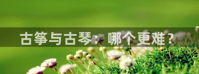 凯发k8旗舰厅手机app下载：古筝与古琴：哪个更难？