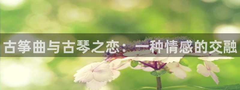 凯发k8娱乐旗舰：古筝曲与古琴之恋：一种情感的交融